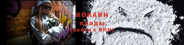 jwh Пересвет