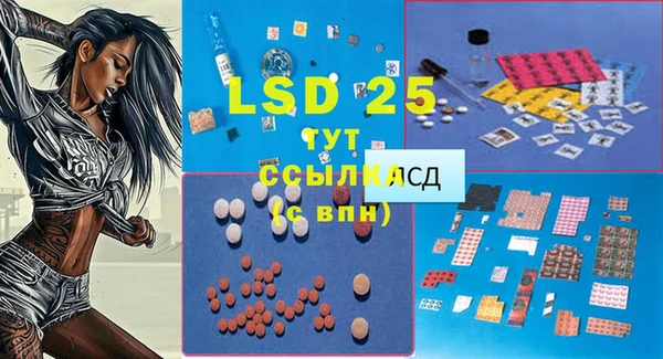 шишки Осташков