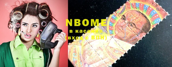 шишки Осташков