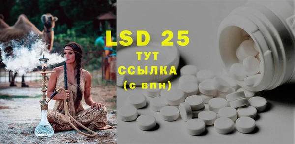 шишки Осташков
