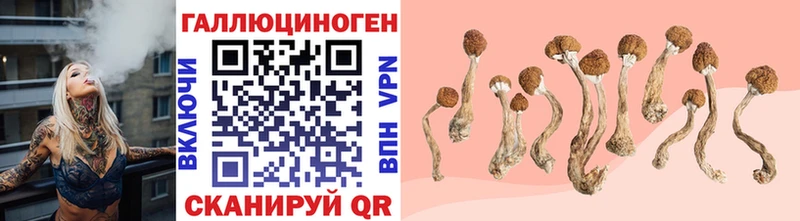 Галлюциногенные грибы Psilocybine cubensis  где купить   Яранск 
